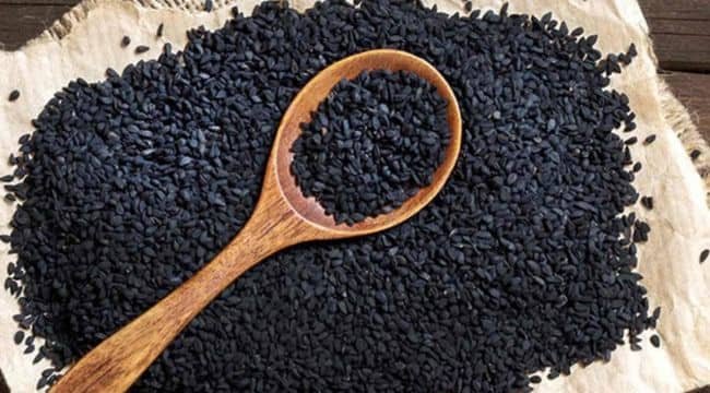Nigella Sativa Black Seed - Fertinox Ingredient